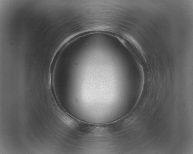 X0000071351324200606261331