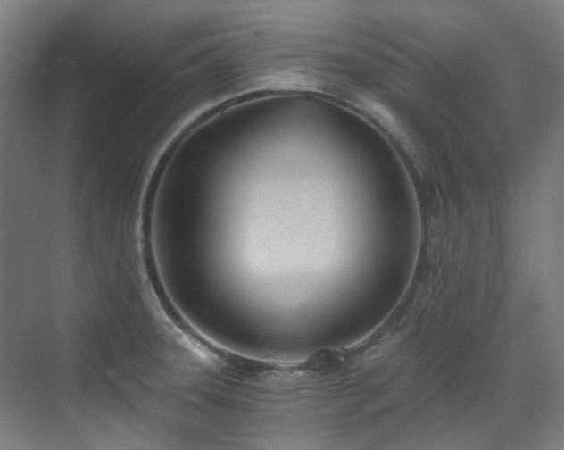 X0000071351331200606261332