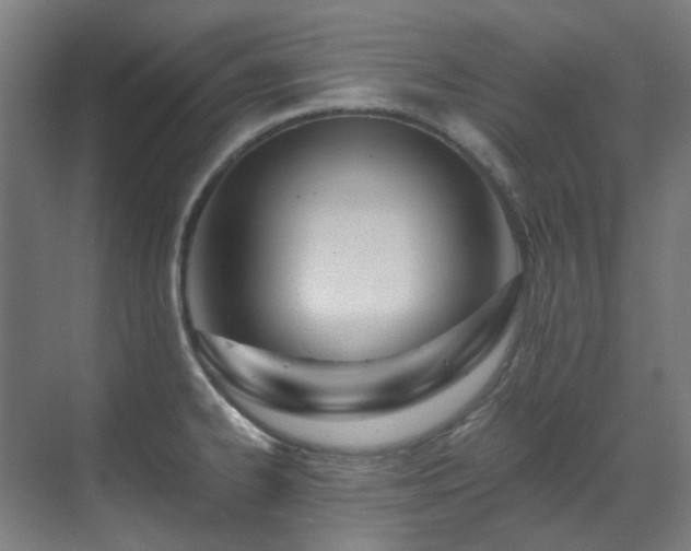 X0000071351334200606261332