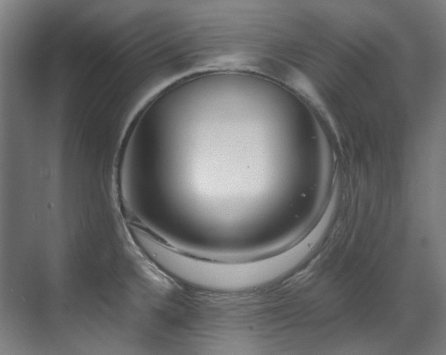 X0000071351336200606261332