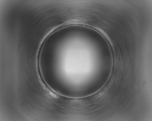 X0000071351341200606261332