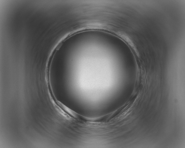 X0000071351342200606261332