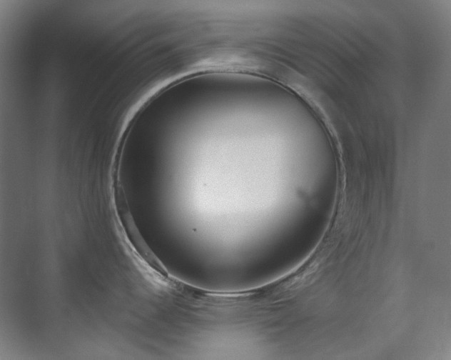 X0000071351344200606261332