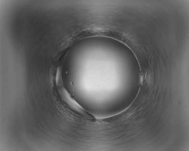 X0000071351348200606261331