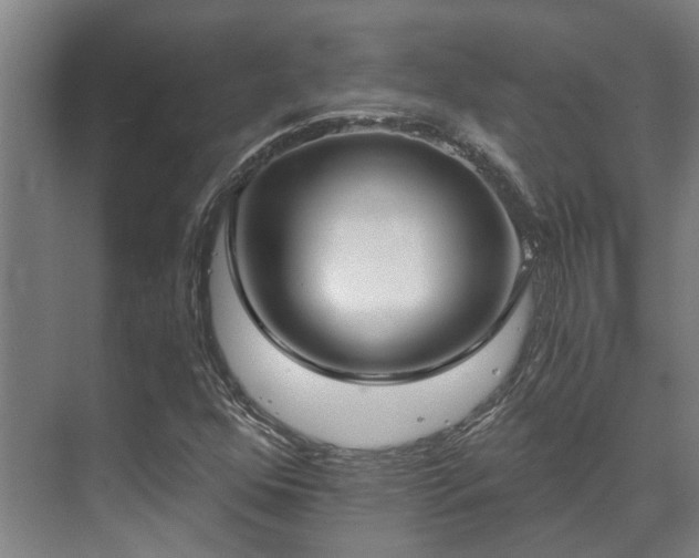 X0000071351352200606261331