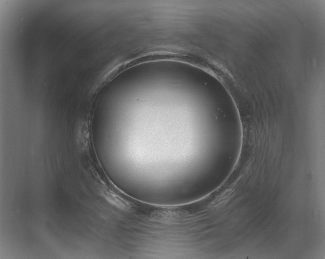 X0000071351355200606261331