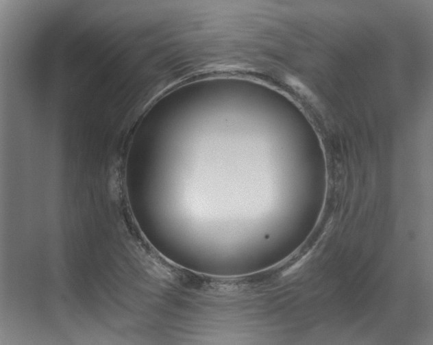 X0000071351361200606261331