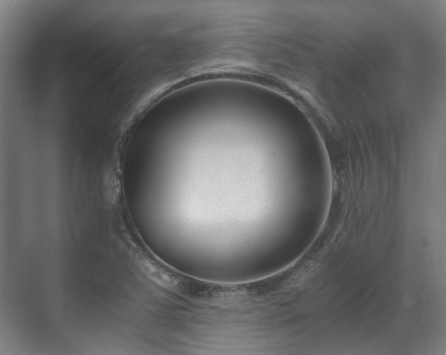 X0000071351363200606261331