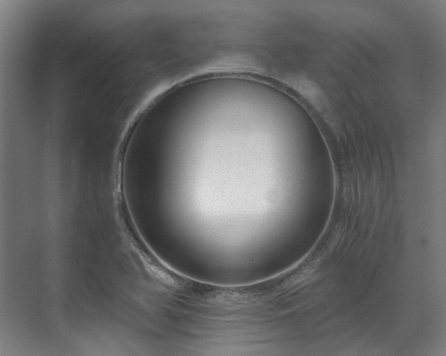 X0000071351366200606261331