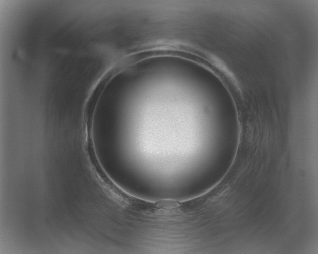 X0000071351368200606261331