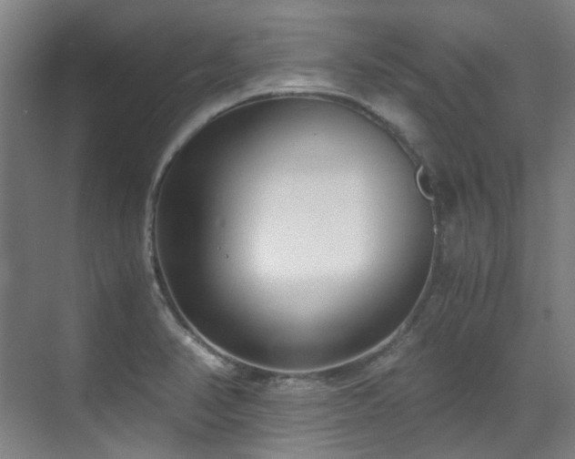 X0000071351374200606261330