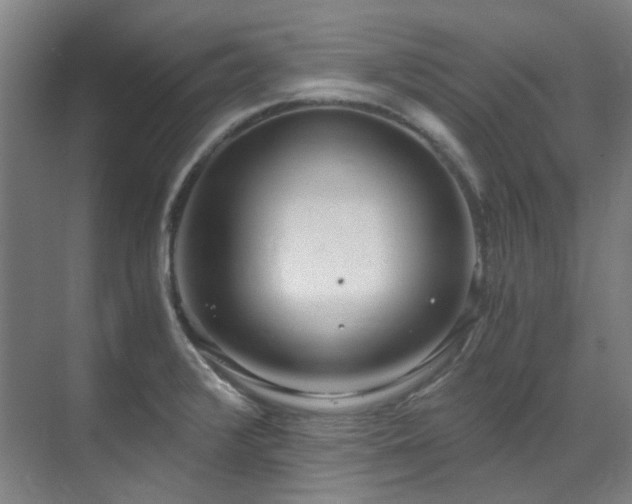 X0000071351376200606261330