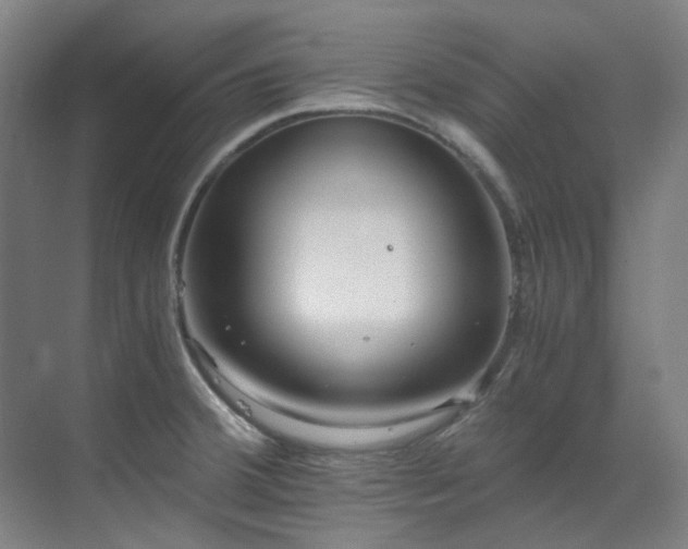 X0000071351380200606261330