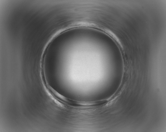 X0000071351381200606261330