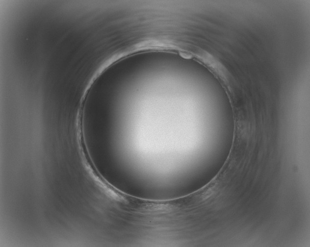 X0000071351382200606261330