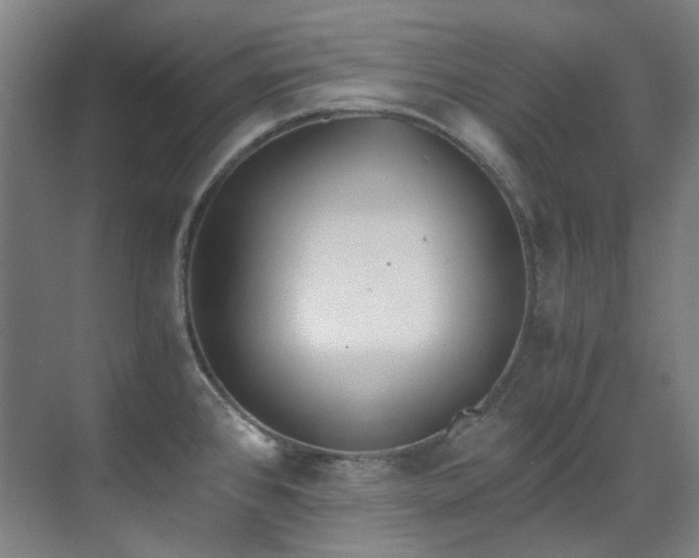 X0000071351384200606261330