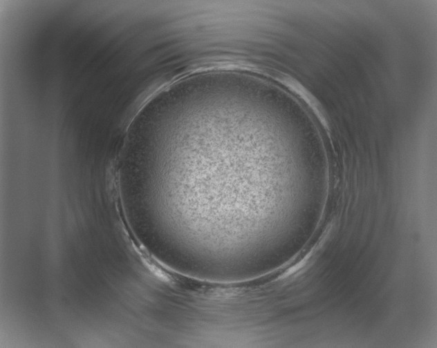 X0000071351385200606261330