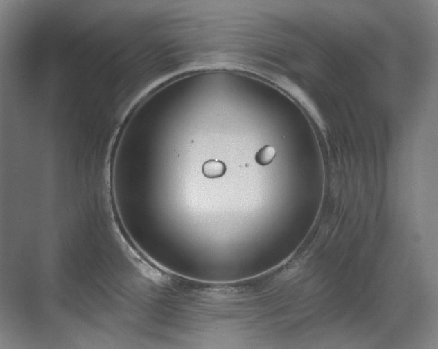 X0000071351388200606261330