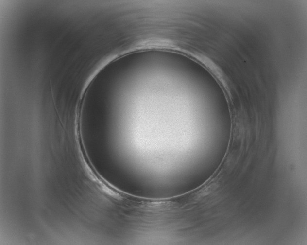 X0000071351390200606261330