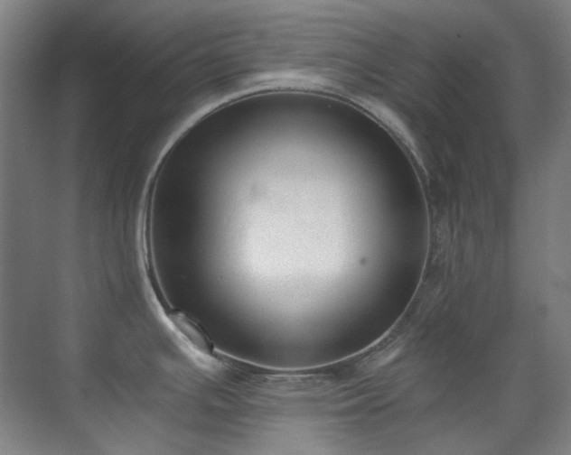 X0000071351391200606261330