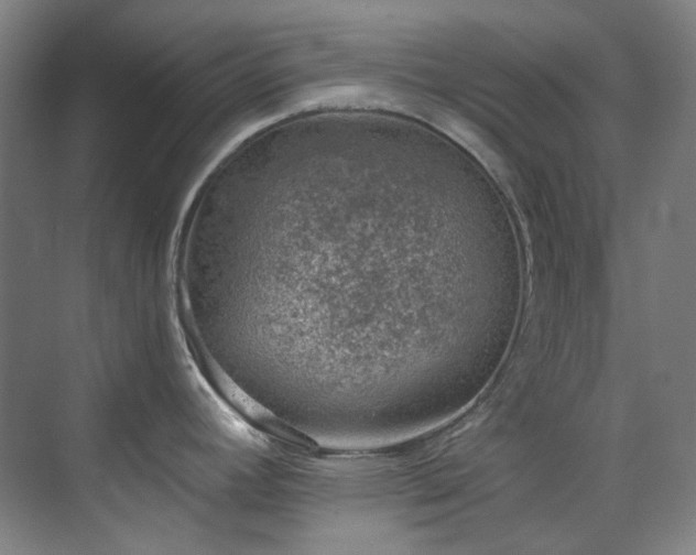 X0000071351392200606261330