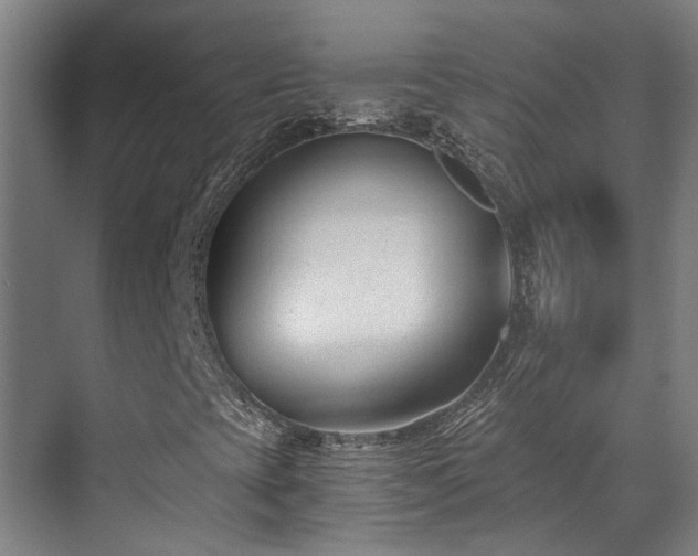 X0000071351393200606261329