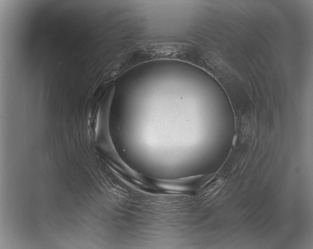 X0000071351394200606261329