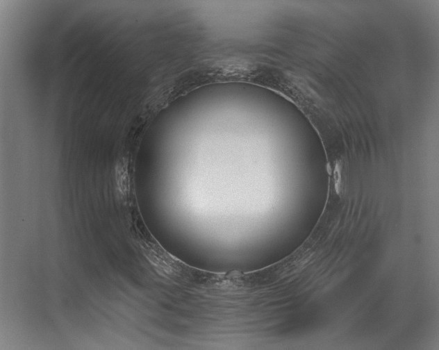 X0000071351395200606261329