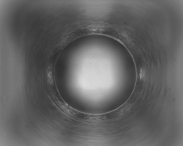 X0000071351396200606261329