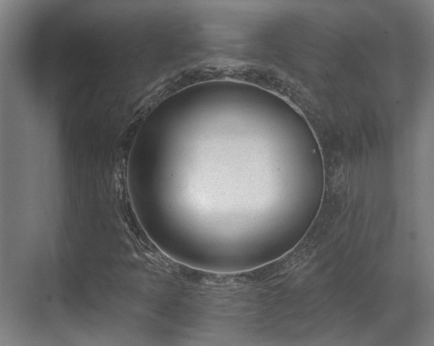 X0000071351397200606261329