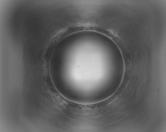 X0000071351398200606261329