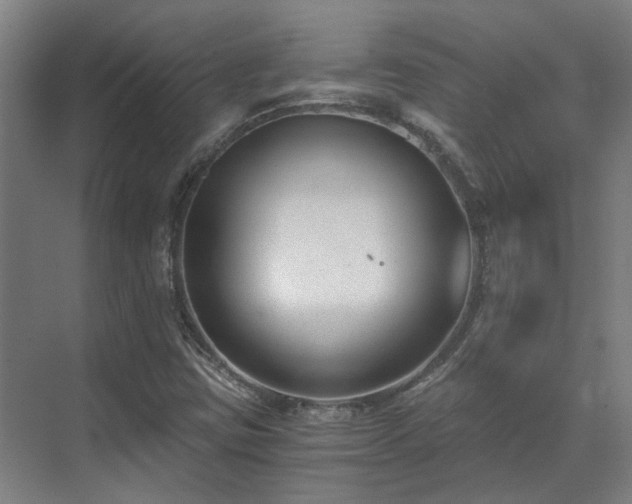 X0000071351403200606261329