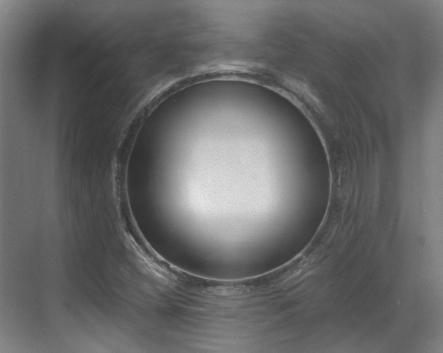 X0000071351404200606261329