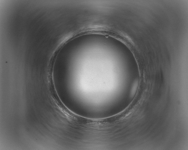 X0000071351405200606261330