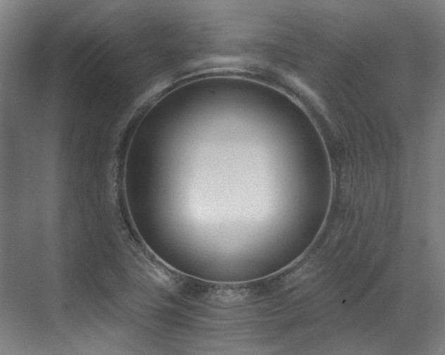 X0000071351411200606261330