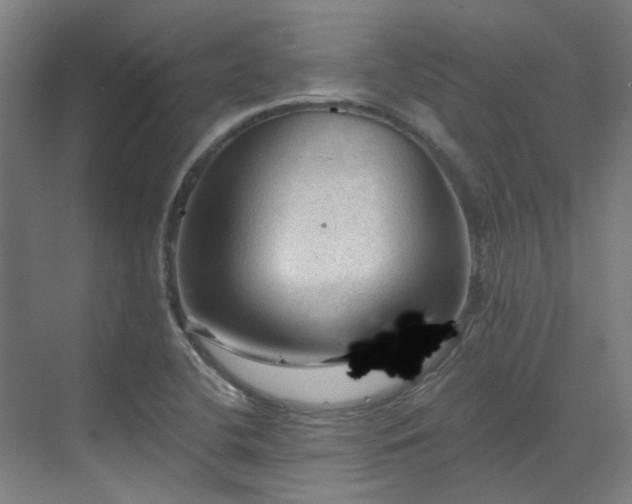 X0000071351412200606261330