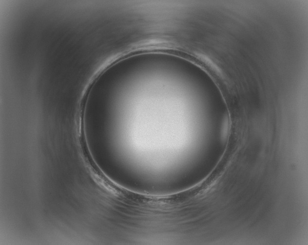 X0000071351413200606261330