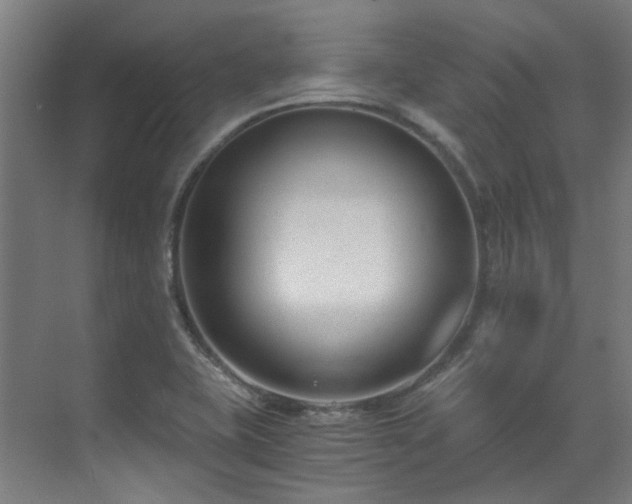 X0000071351415200606261330