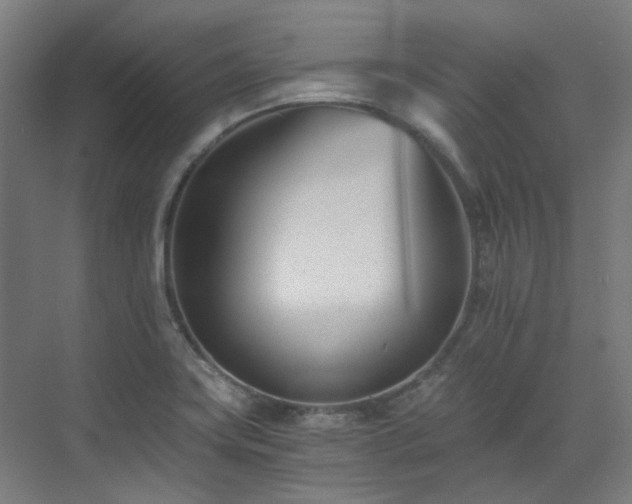 X0000071351419200606261330