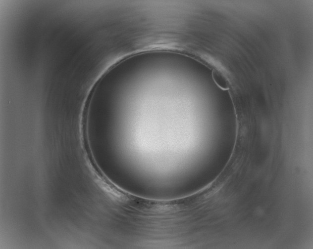 X0000071351423200606261330