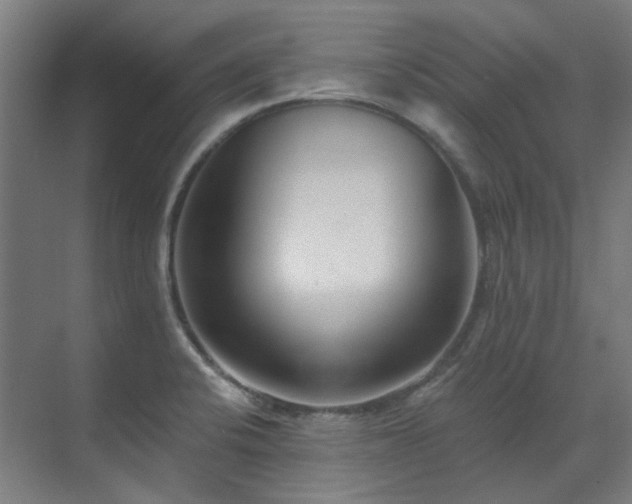 X0000071351424200606261330