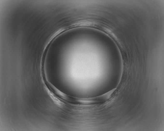 X0000071351426200606261330