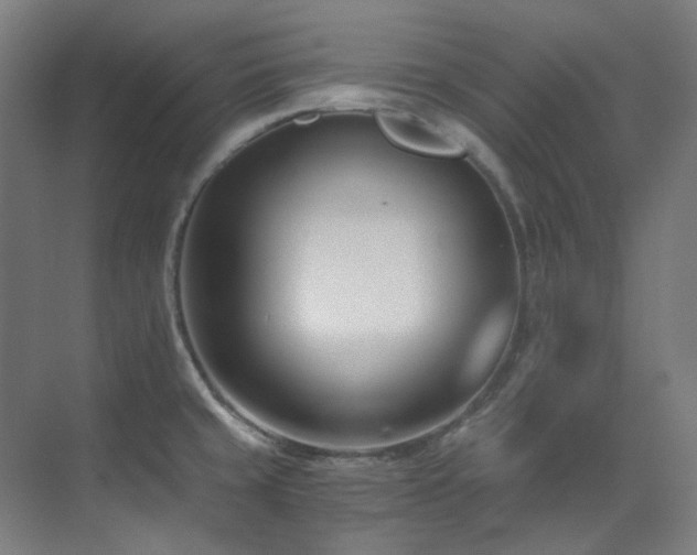 X0000071351429200606261330