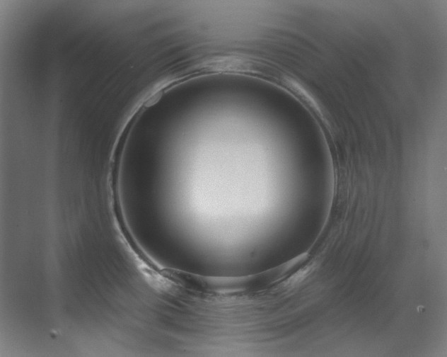 X0000071351434200606261330