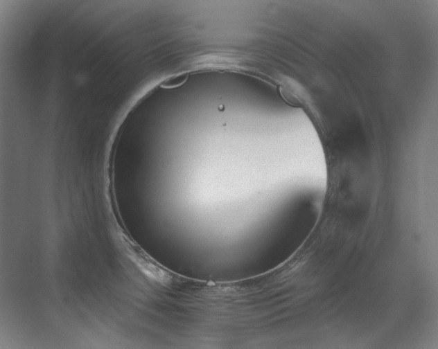 X0000071351435200606261330