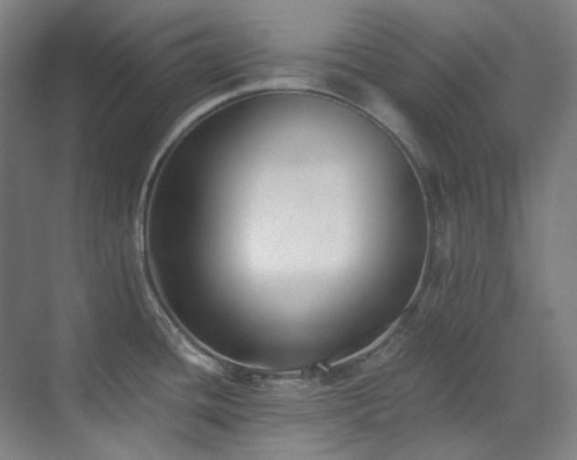 X0000071351436200606261330