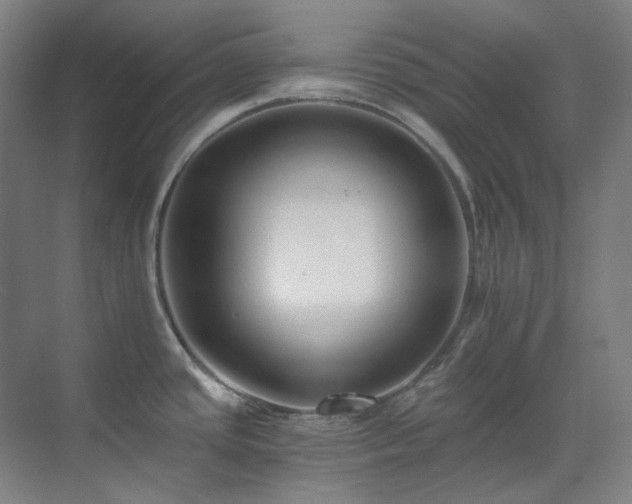 X0000071351437200606261330