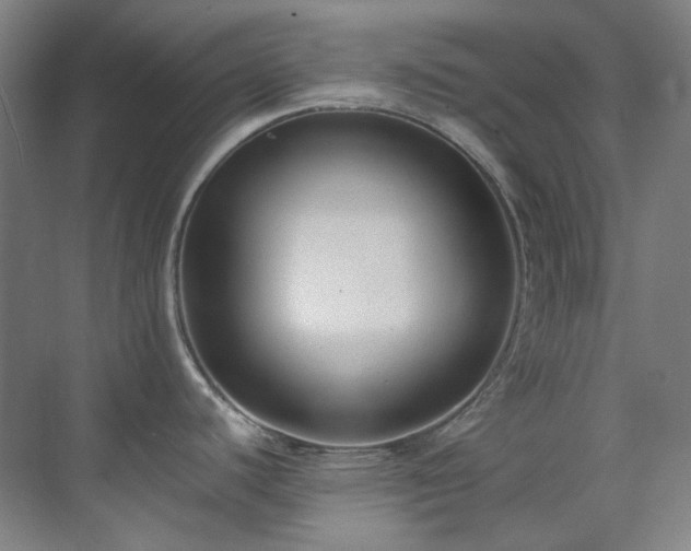 X0000071351440200606261330