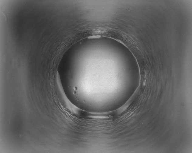 X0000071351441200606261329