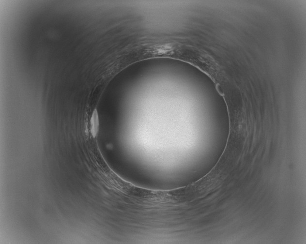 X0000071351442200606261329